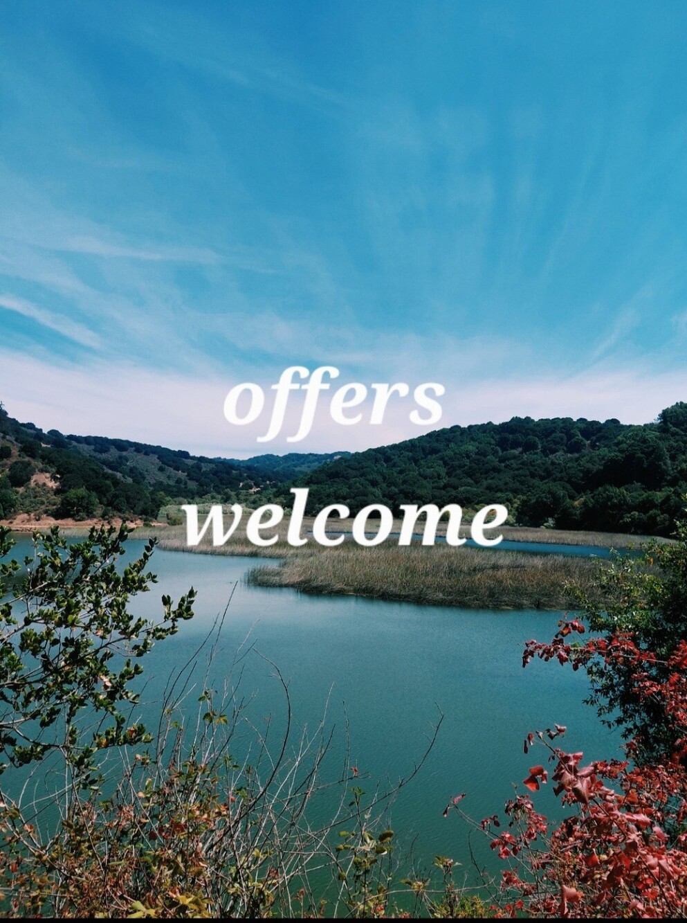 Shop, Bundle, Save, Offer